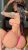 Eryaman evi olan escort bayan Duru